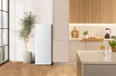 REFRIG HS25862-R4142PW GOR6